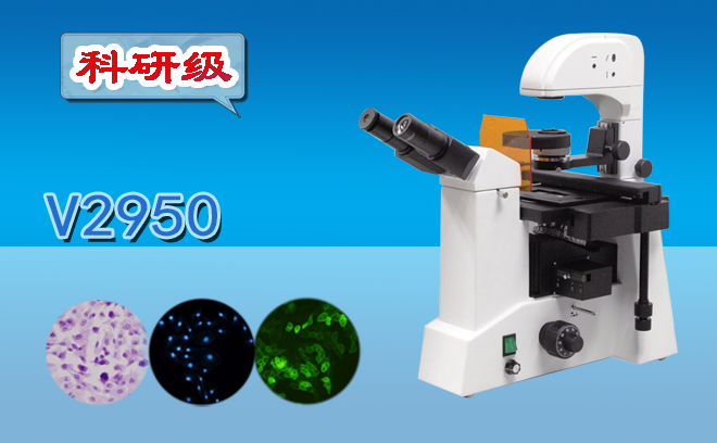 顯微鏡.png 顯微鏡.png