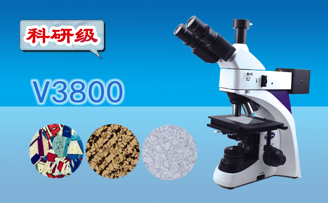 1755054369384847.png 金相顯微鏡.png